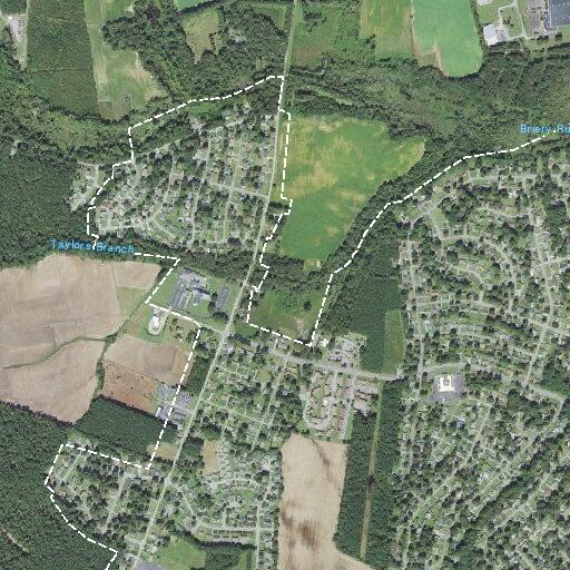 98-year-old man with head injury after fall