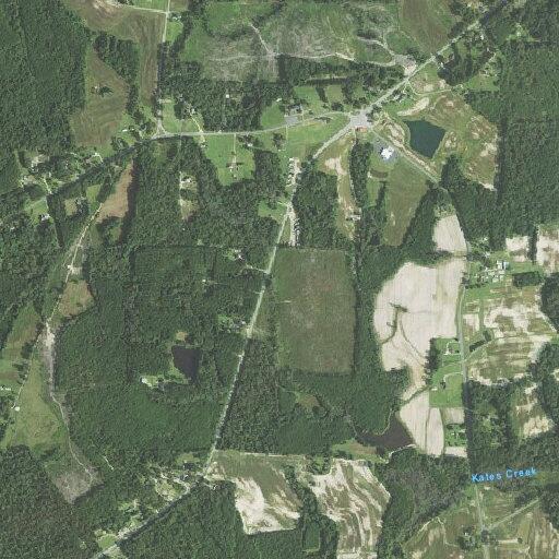 Person dancing beside roadway in Bunnlevel NC
