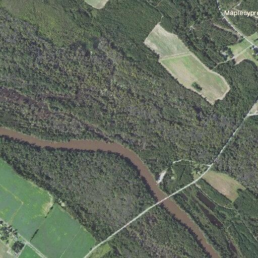 Woman overdoses at Maple Cypress boat landing