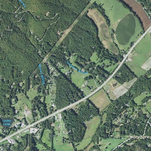 Car hits deer on NC 280 near Forge Valley Drive