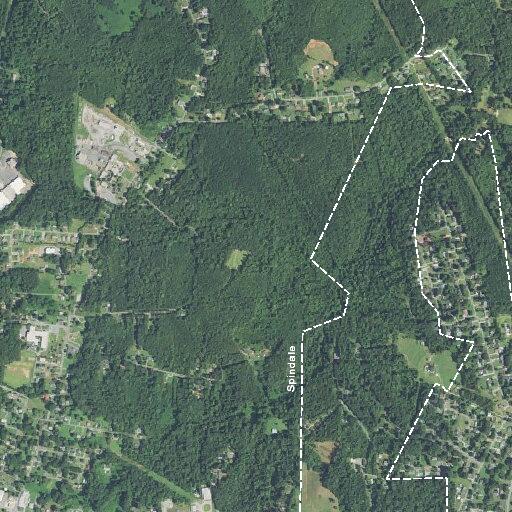 Officers search for woman tracked to woods on Franklin