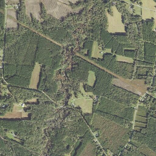 Emergency call for deceased person at Tripp Road