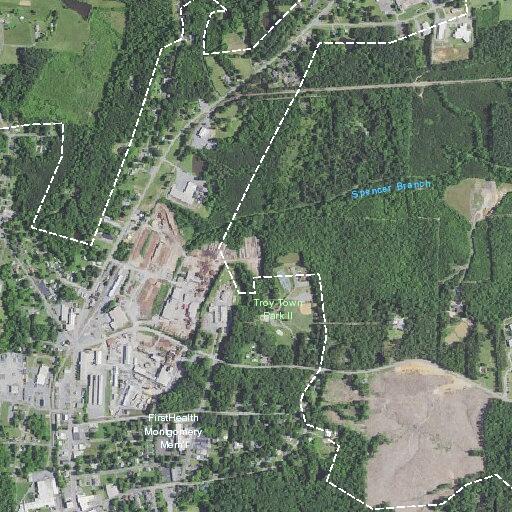 Sixty-six-year-old man with heart problems in Troy
