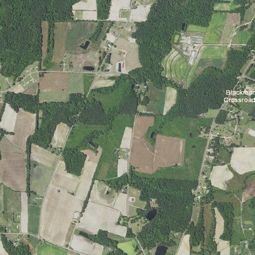Person having seizure at Stricklands Crossroads Road