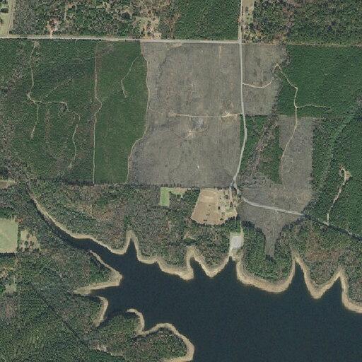 Gas-powered boat reported on no-gas lake