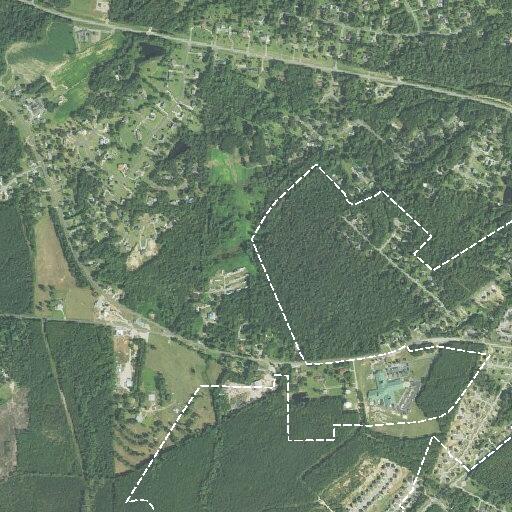 Teenager reported running in street near Thimbleweed Lane residence