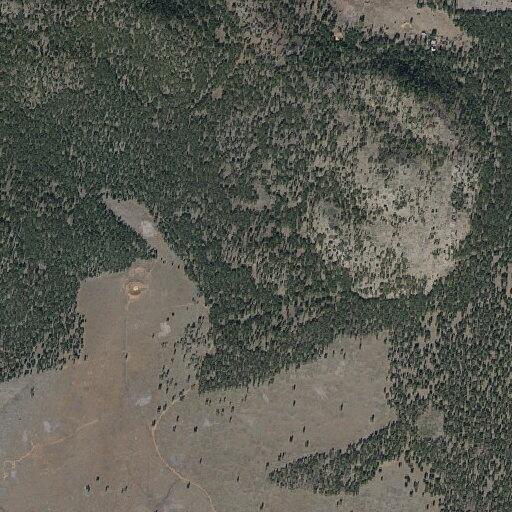 Report of property damage near Hutton