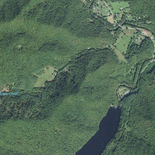 Person experiencing panic attack at Lake Logan Road