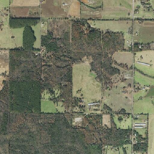 Woman has seizure near Champion Road in Martin Township