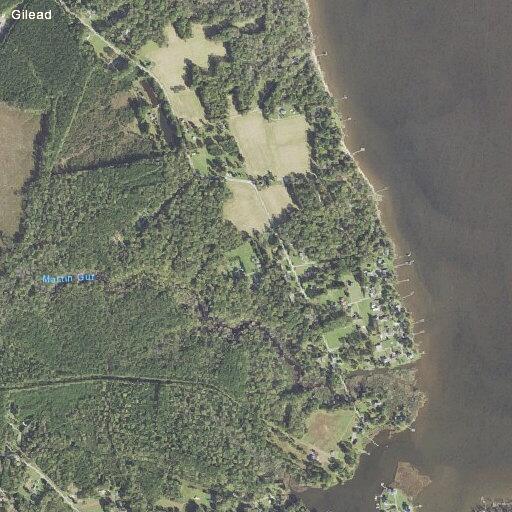 83-year-old man fallen near Blounts Creek