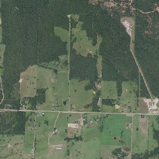 Teen female with self-inflicted injury in Arkansas