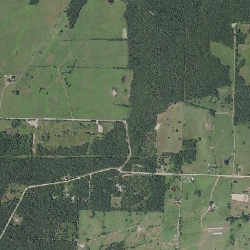 94-year-old woman possibly having a stroke in Arkansas