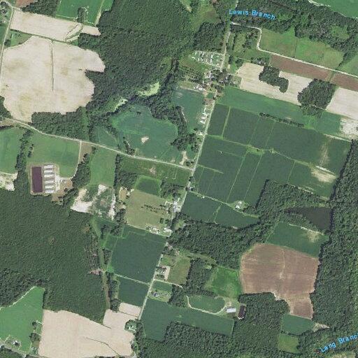 One-year-old male shaking near Peanut Road