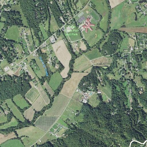 Person fainted near Lower Brush Creek Road in Fletcher