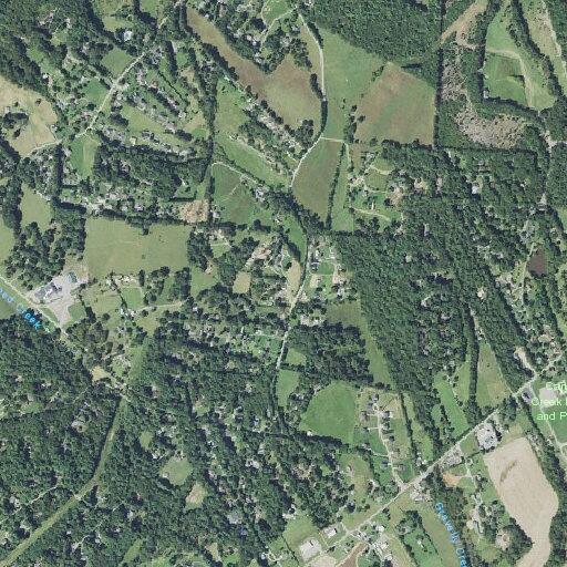 Person needing assistance near Gravely Branch Road