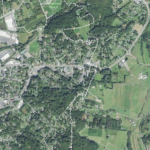 Person fell near Queen Street, Waynesville
