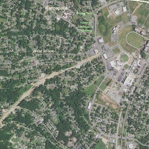 Person fainting near Martin Circle, Kannapolis