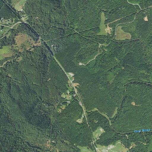 Person having seizure near NC 226 Highway
