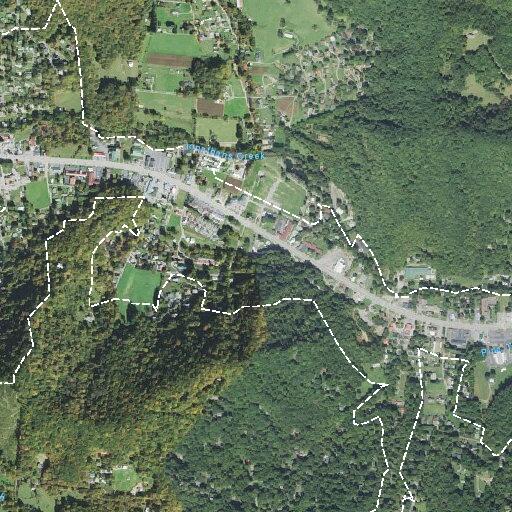 Person fainting near Reuben Branch Road in Maggie Valley