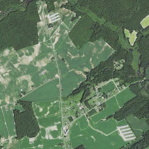 Person reported sick near Apple Tree Road in Stantonsburg