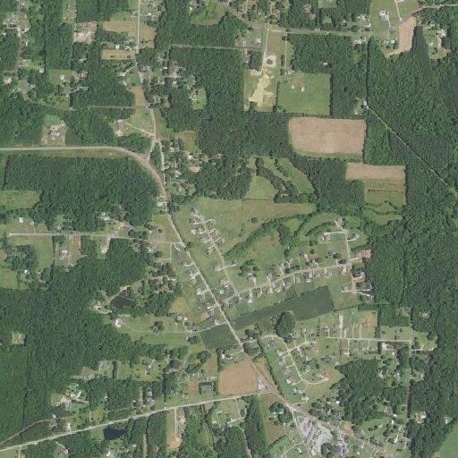 Child having seizure while pulling a tooth near China Grove