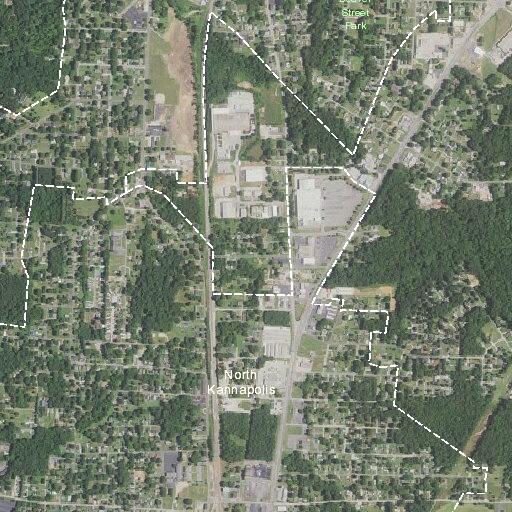Seizures reported near Rice Street in local residential area