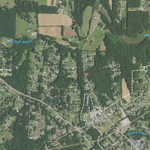 Public assist for 39-year-old man in Landis