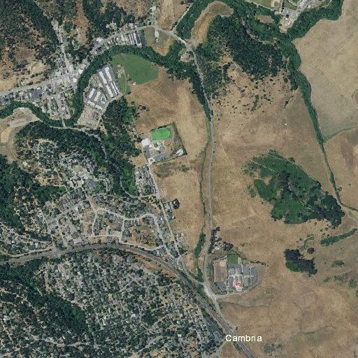 Person with chest pain near Green Street