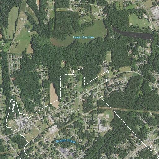 Tree down brings down power lines in Landis