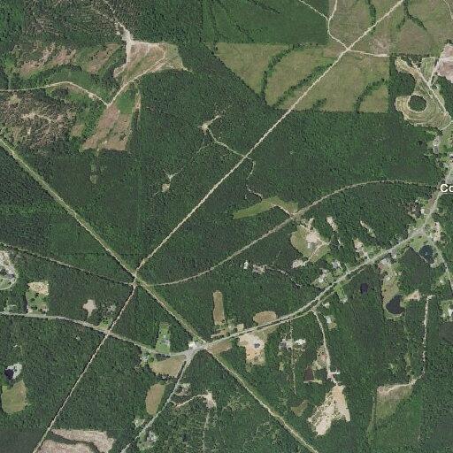 Woman has allergic reaction after wasp sting on NC 42 Highway