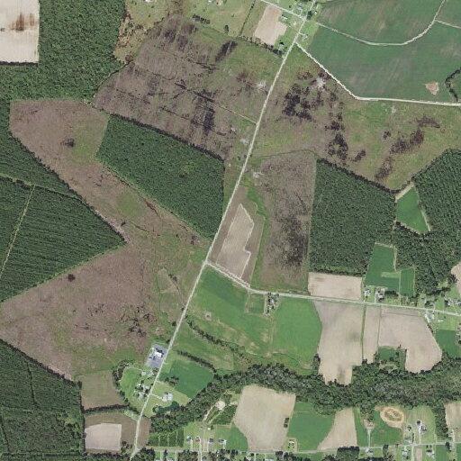 54-year-old woman with back pain and nausea in Farmville