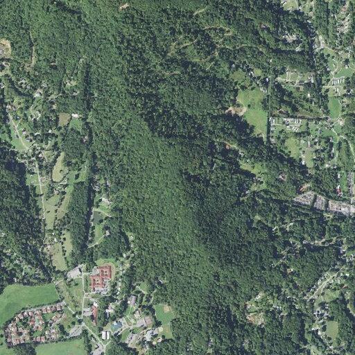 Person in cardiac arrest near Holcombe Cove Road