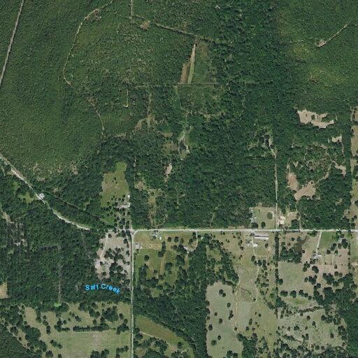 Cow loose on Highway 56 near Wilson Road