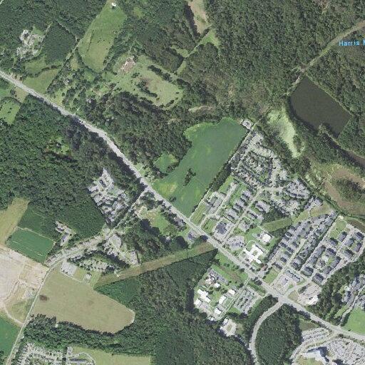 66-year-old man in respiratory distress at rehab center