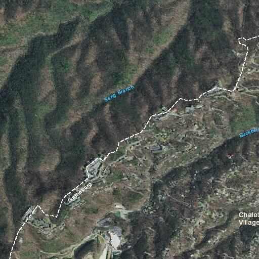 Resident reportedly fired shot at bear with cub near homes