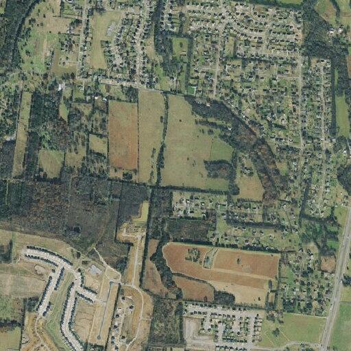 Person with high temperature at Walnut Chase Drive