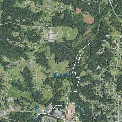 Child experiences chest spasms near Lady Slipper Lane