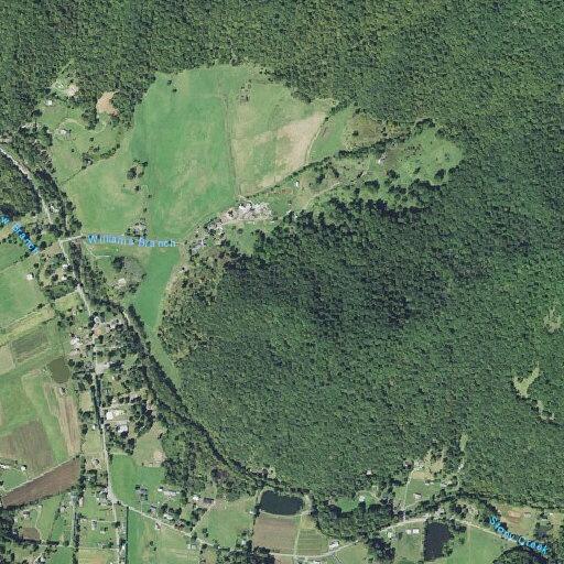 Person experiencing chest pain near Dillingham Road