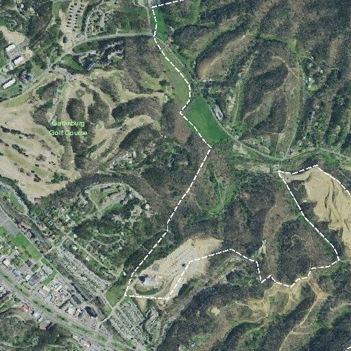 Woman having hypoglycemic episode at Mountain View Lane
