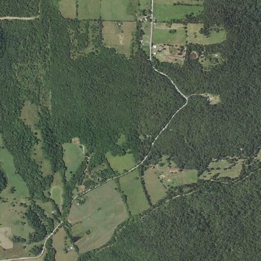 Person fainted near Hale Mountain Road in Evansville