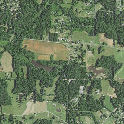 Person fell with possible head injury near Climax