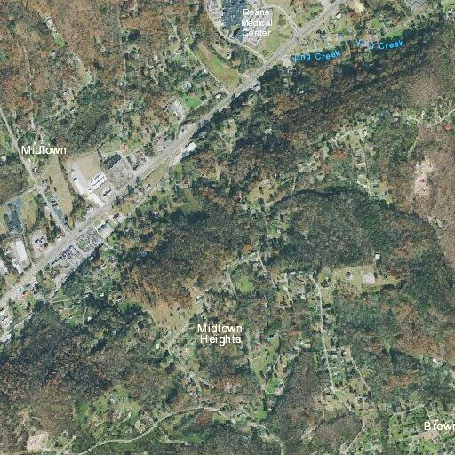 Person bitten by animal near Dogwood Way in Harriman