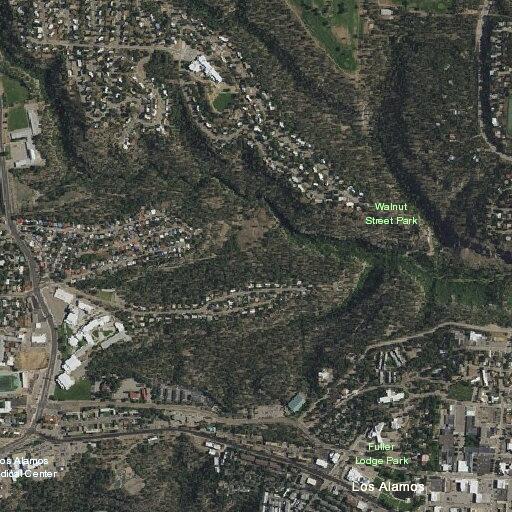 Bear reported near canyon by Canyon View home