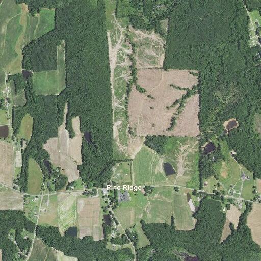 Brush fire reported on Pine Ridge Road