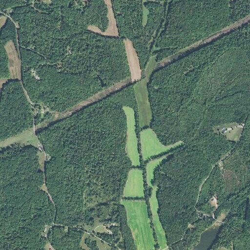 Person fell at home and requires assistance