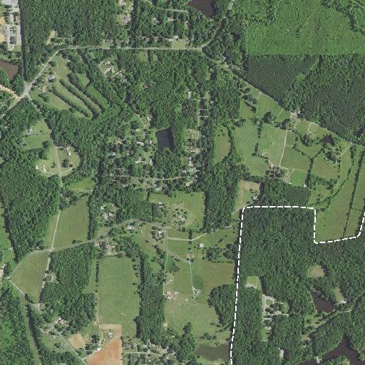 Unconscious 31-year-old found near Pleasant Garden