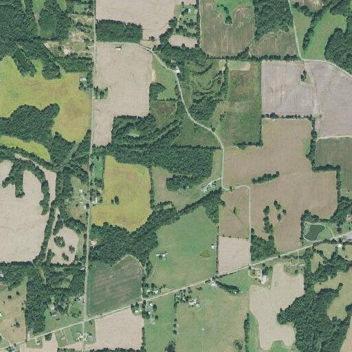 Caller upset after argument with husband over money