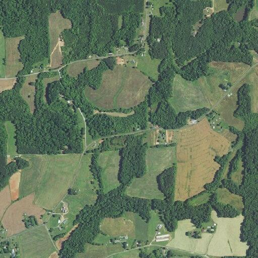 Person reported fallen near Powell Bridge Road