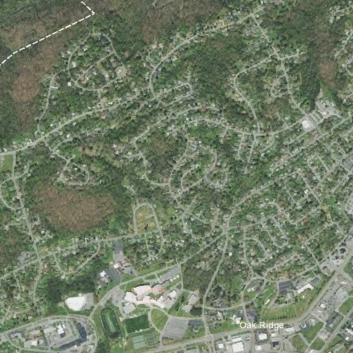 Tree down on power lines causes outage and road block