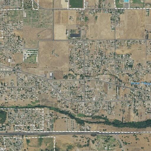 Person bitten by loose dog at Springville and Conner